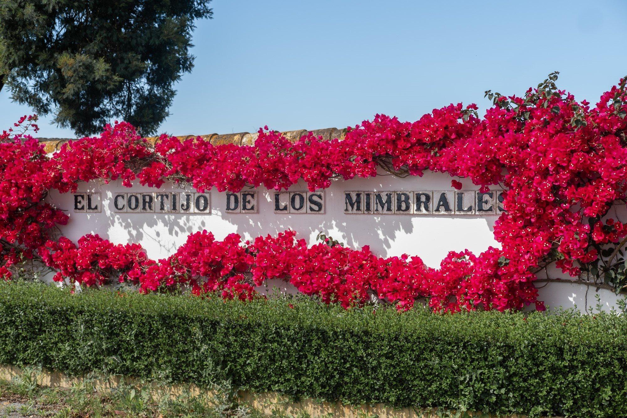 El Cortijo De Los Mimbrales Hotel アルモンテ エクステリア 写真